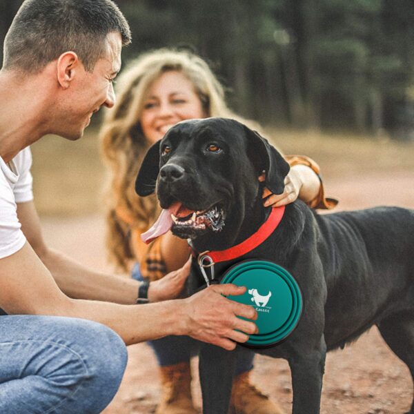 Collapsible Dog Bowls for Travel, 2-Pack Dog Portable Water Bowl for Dogs Cats Pet Foldable Feeding Watering Dish for Traveling Camping Walking with 2 Carabiners, BPA Free - Image 3